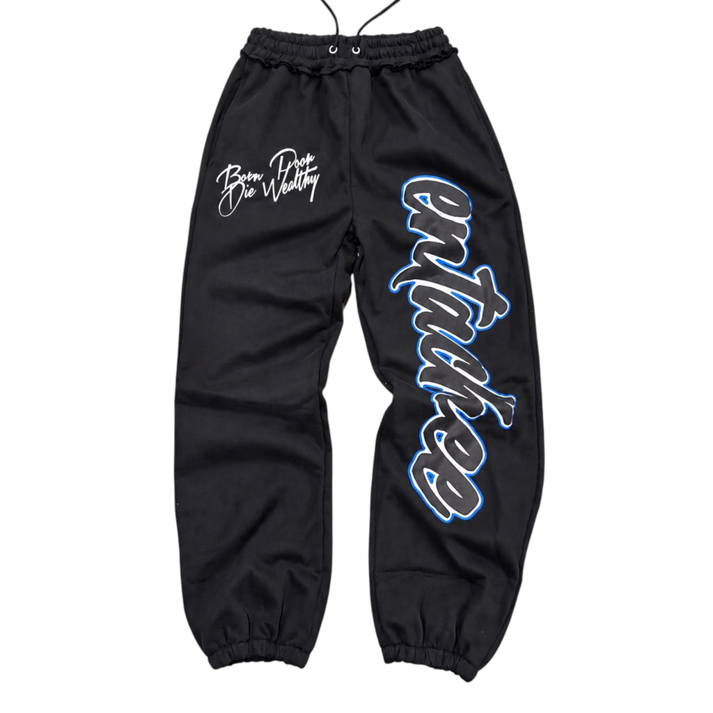 Space Jam Sweats